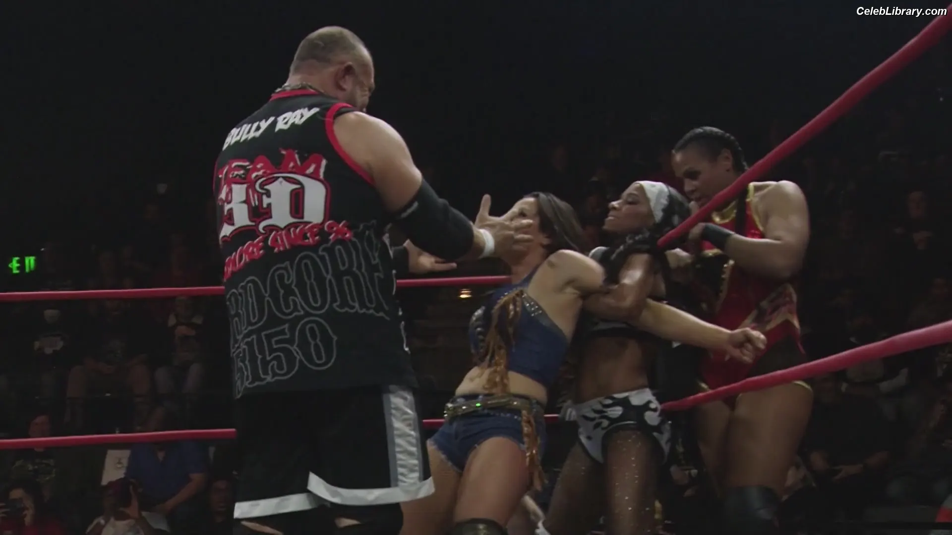 Mickie James photo 21 of 1067