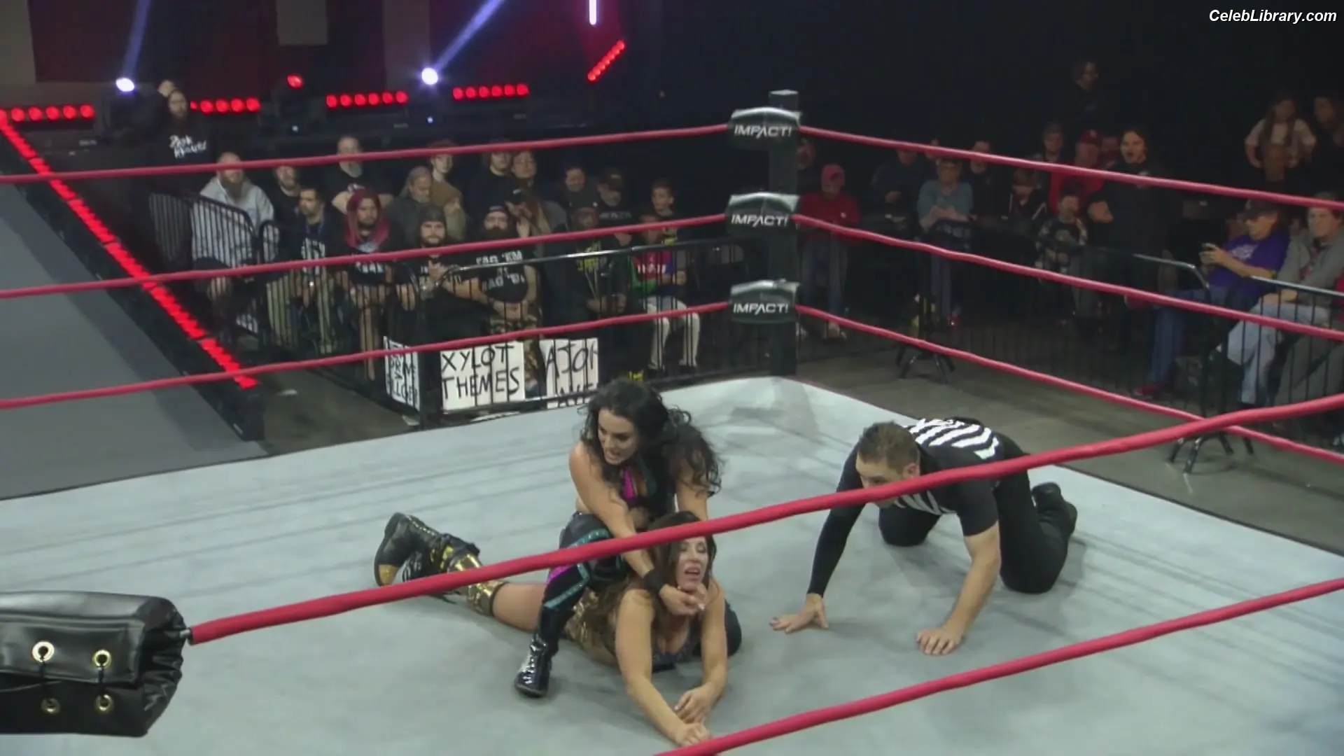 Mickie James photo 9 of 1067