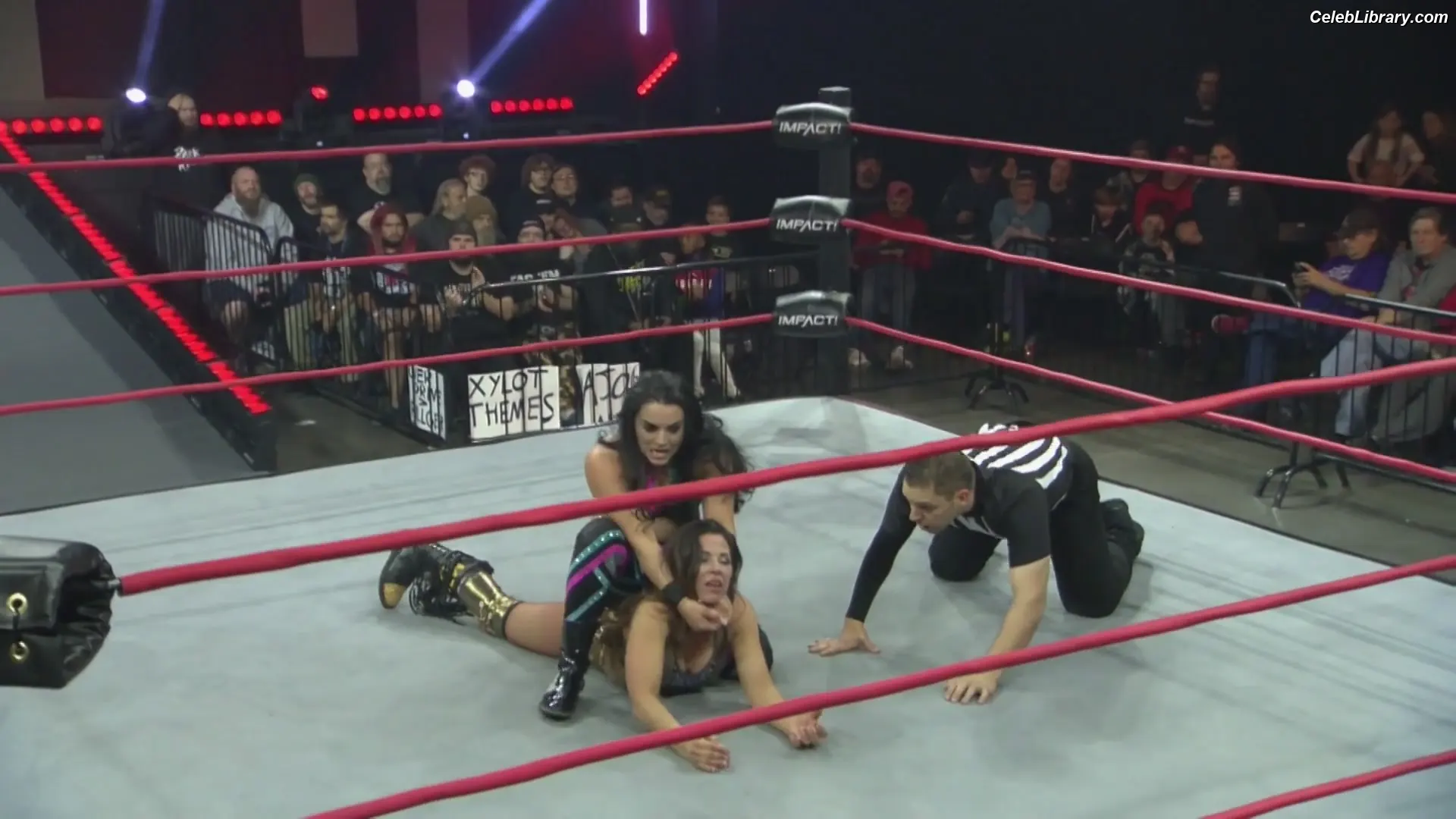 Mickie James photo 10 of 1067