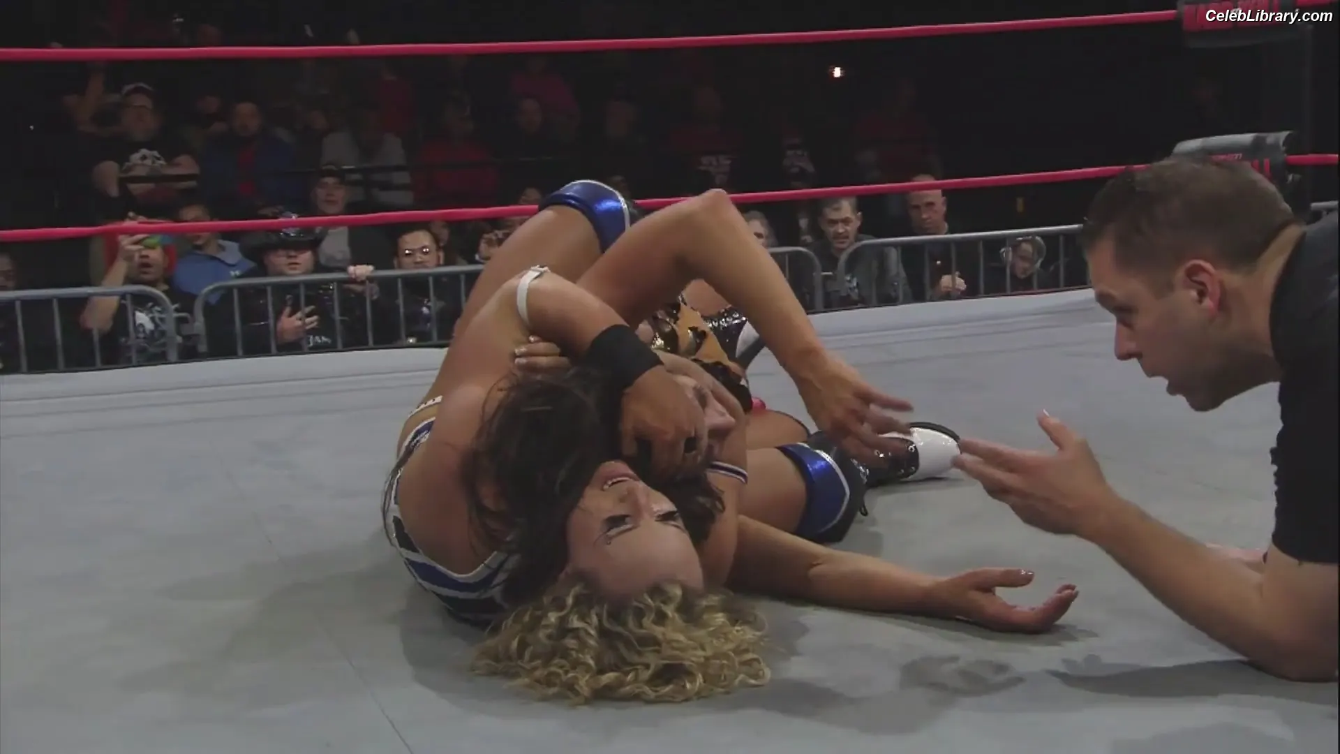Mickie James photo 10 of 1067