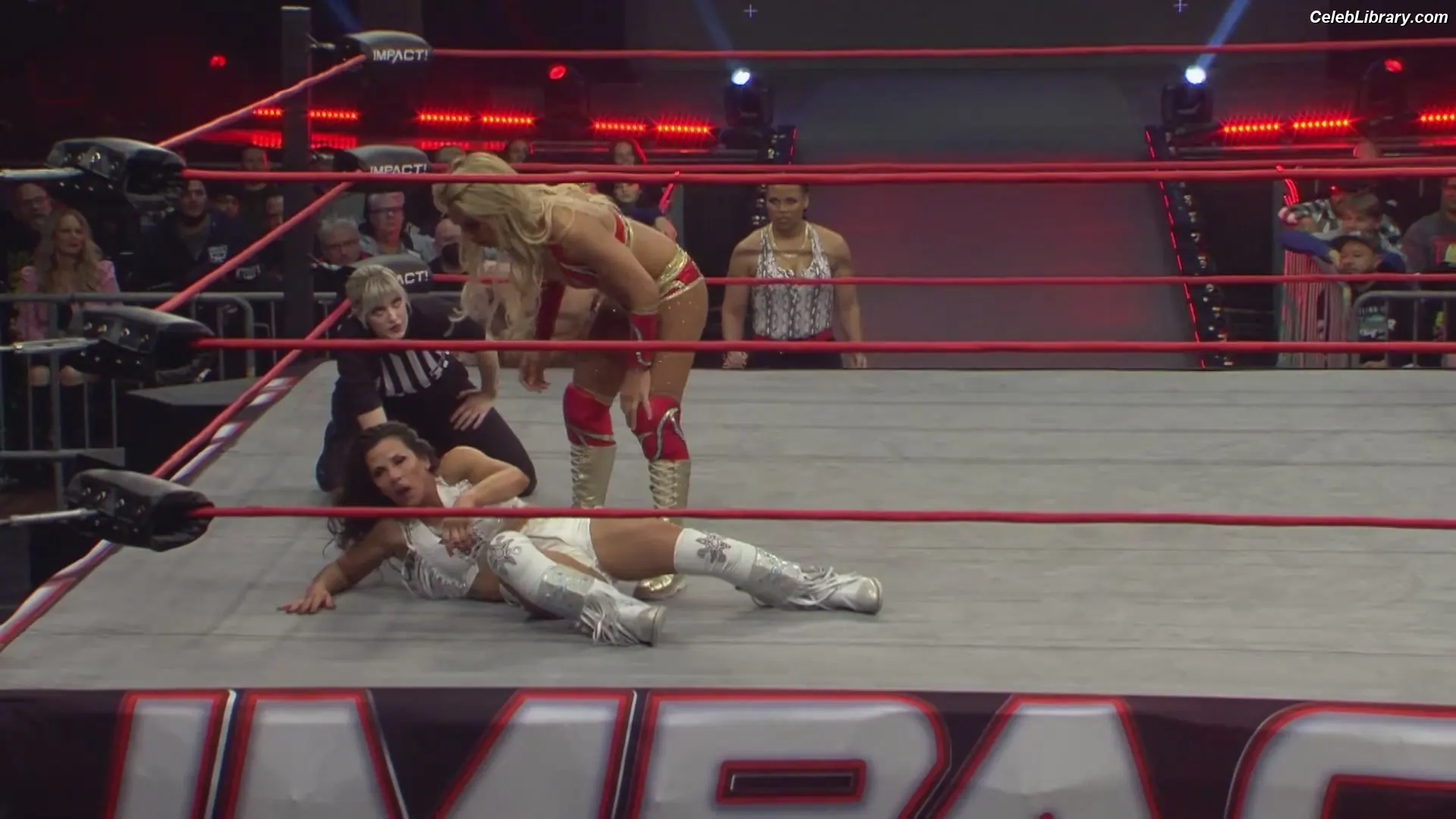 Mickie James photo 17 of 1067