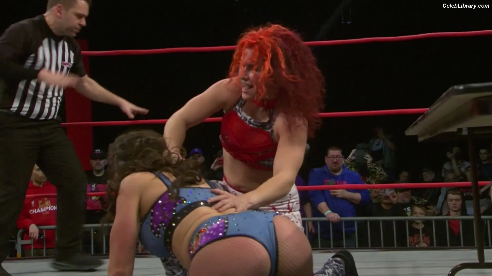 Mickie James photo 13 of 1067