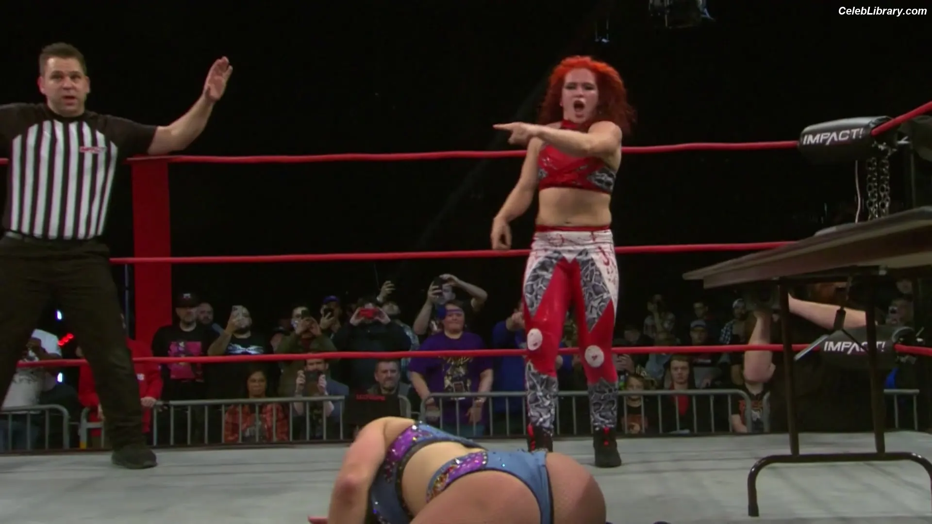 Mickie James photo 18 of 1067