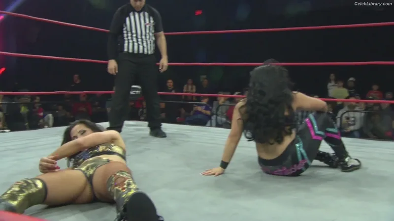 Mickie James photo 23 of 1064
