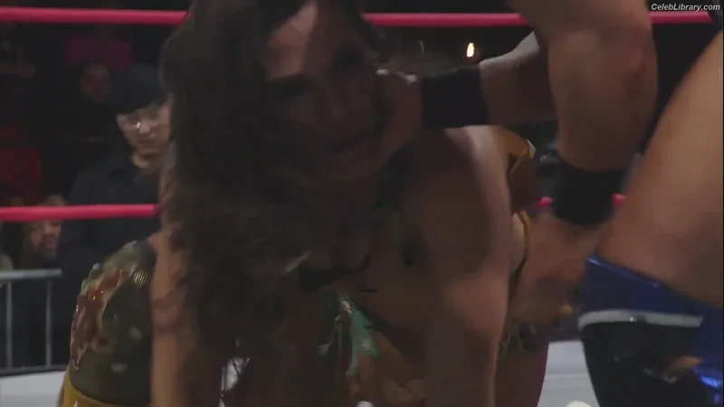 Mickie James photo 22 of 1064