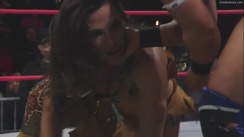 Mickie James photo 23 of 1064