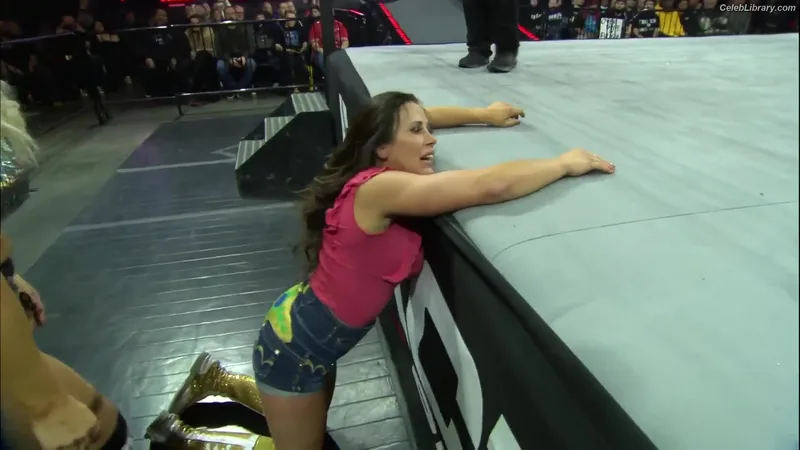 Mickie James photo 7 of 1064