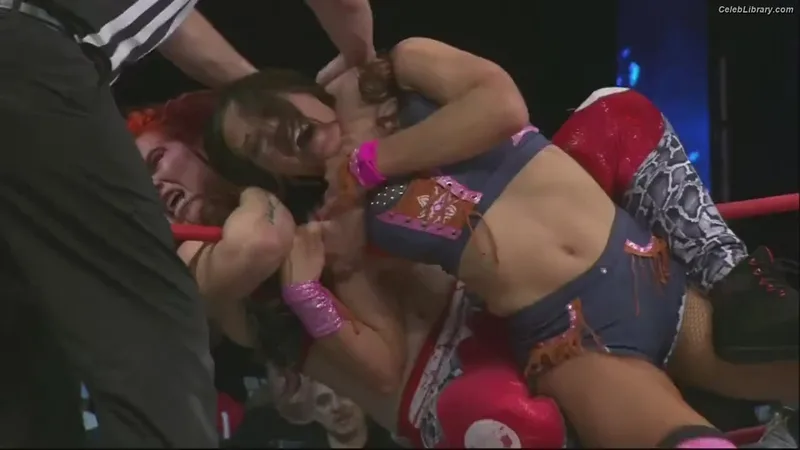 Mickie James photo 3 of 1064