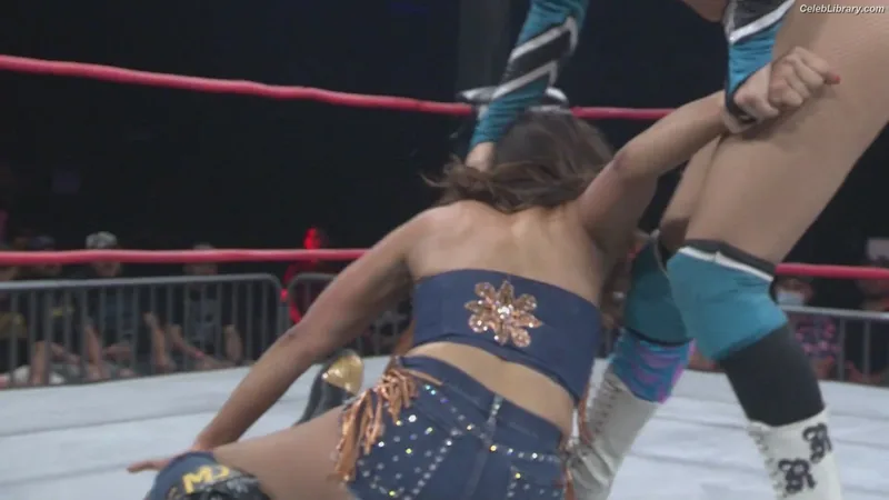 Mickie James photo 22 of 1064
