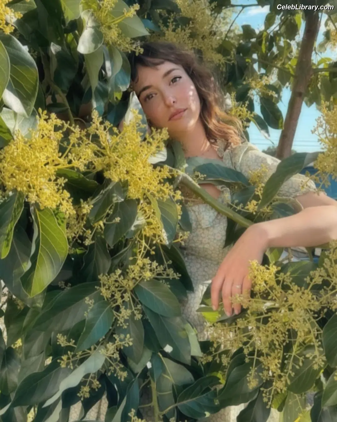 Milana Vayntrub photo 5 of 923