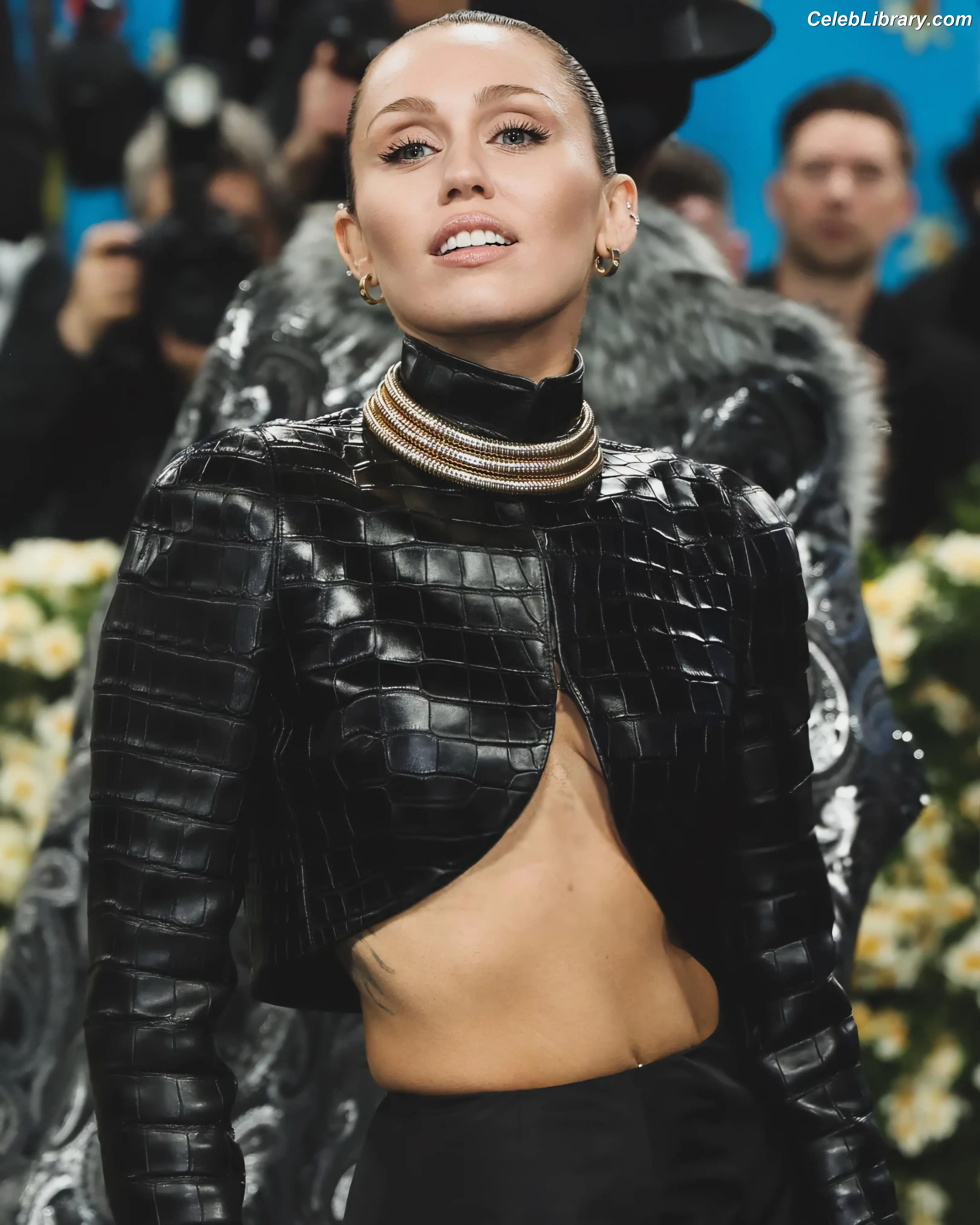 Miley Cyrus photo 24 of 2367