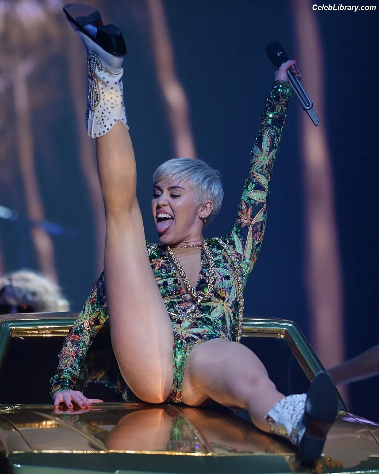 Miley Cyrus photo 7 of 2367