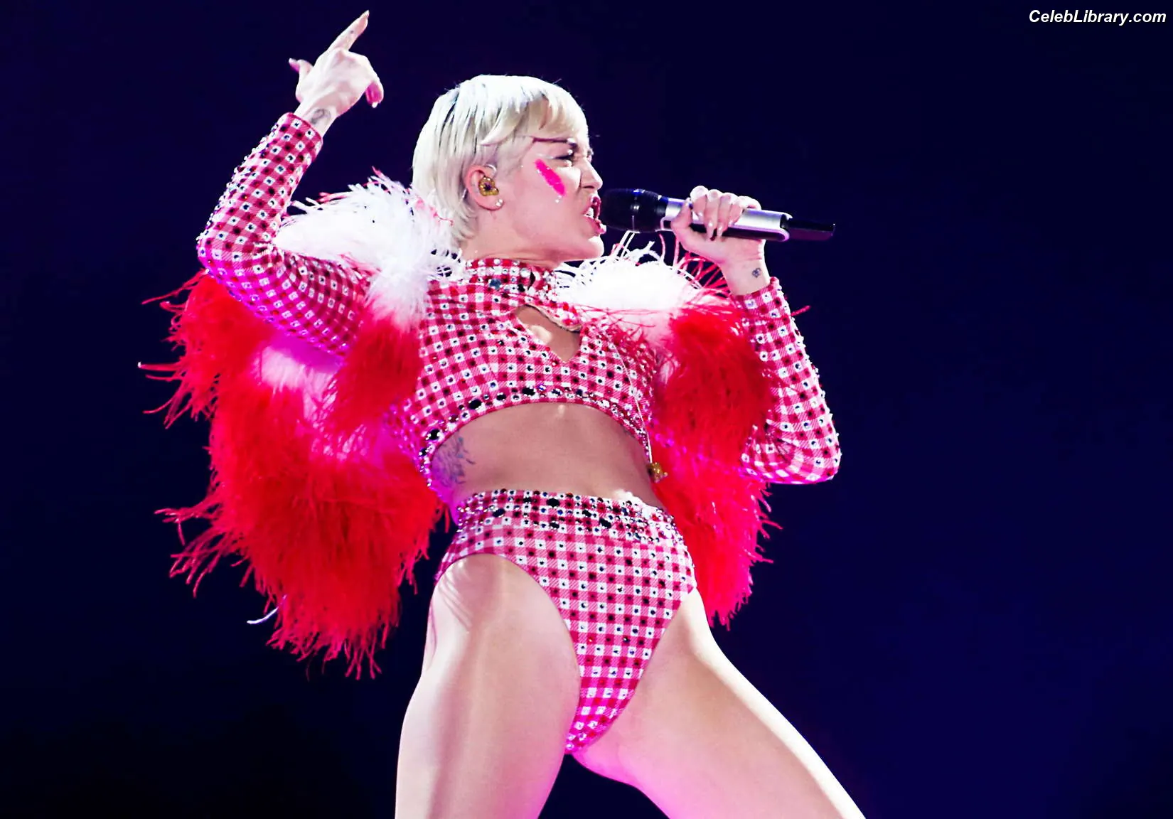 Miley Cyrus photo 6 of 2367