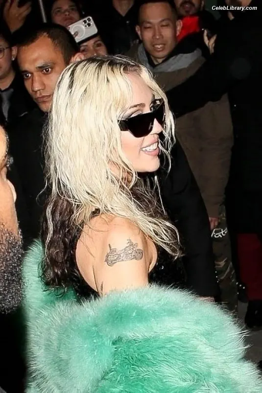 Miley Cyrus photo 14 of 2367