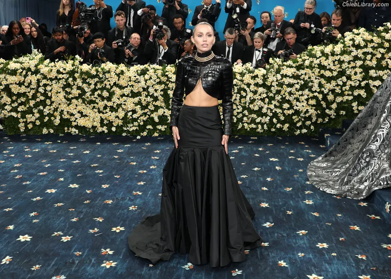 Miley Cyrus photo 12 of 2351