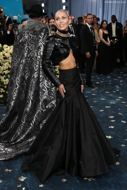 Miley Cyrus photo 19 of 2351