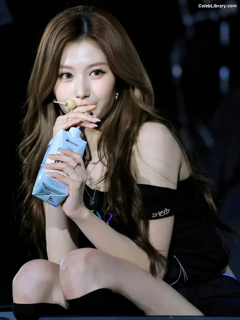 Minatozaki Sana (TWICE) photo 11 of 1068