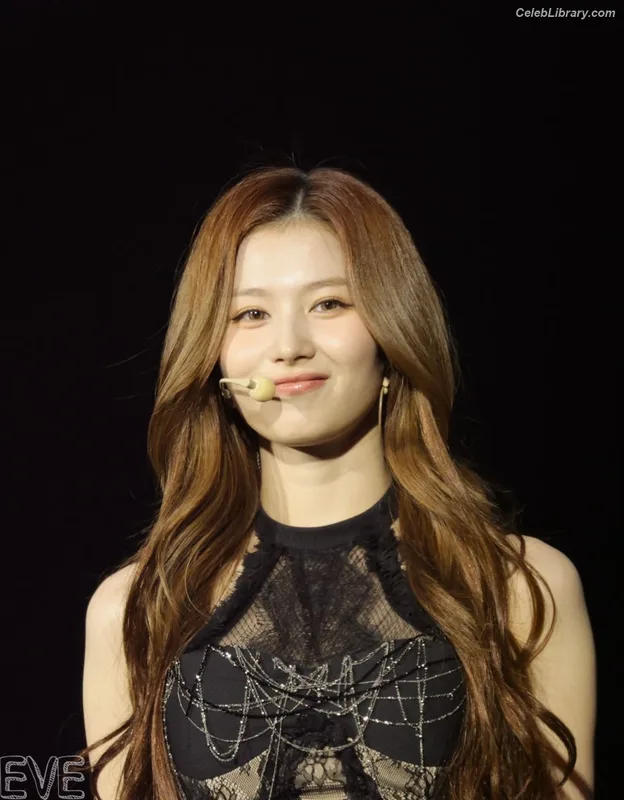 Minatozaki Sana (TWICE) photo 14 of 1069