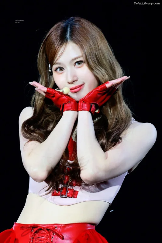 Minatozaki Sana (TWICE) photo 11 of 1069