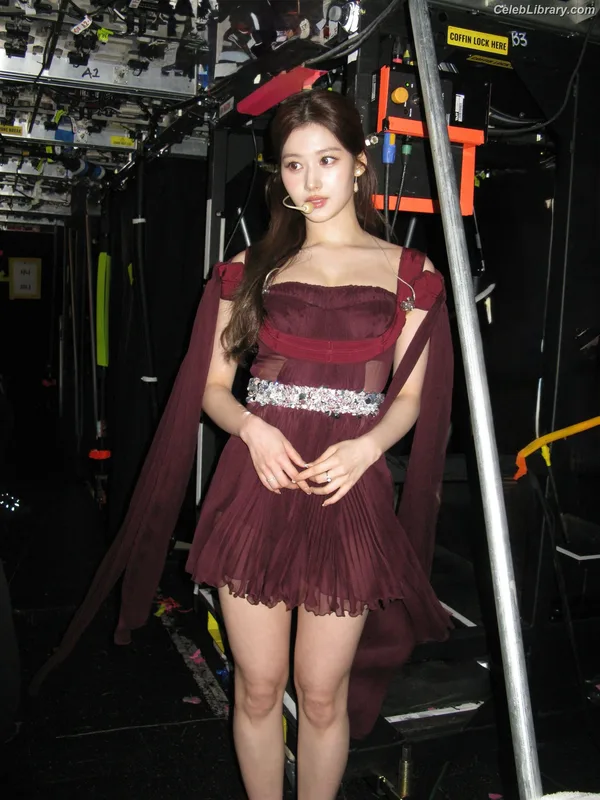 Minatozaki Sana (TWICE) photo 11 of 1069