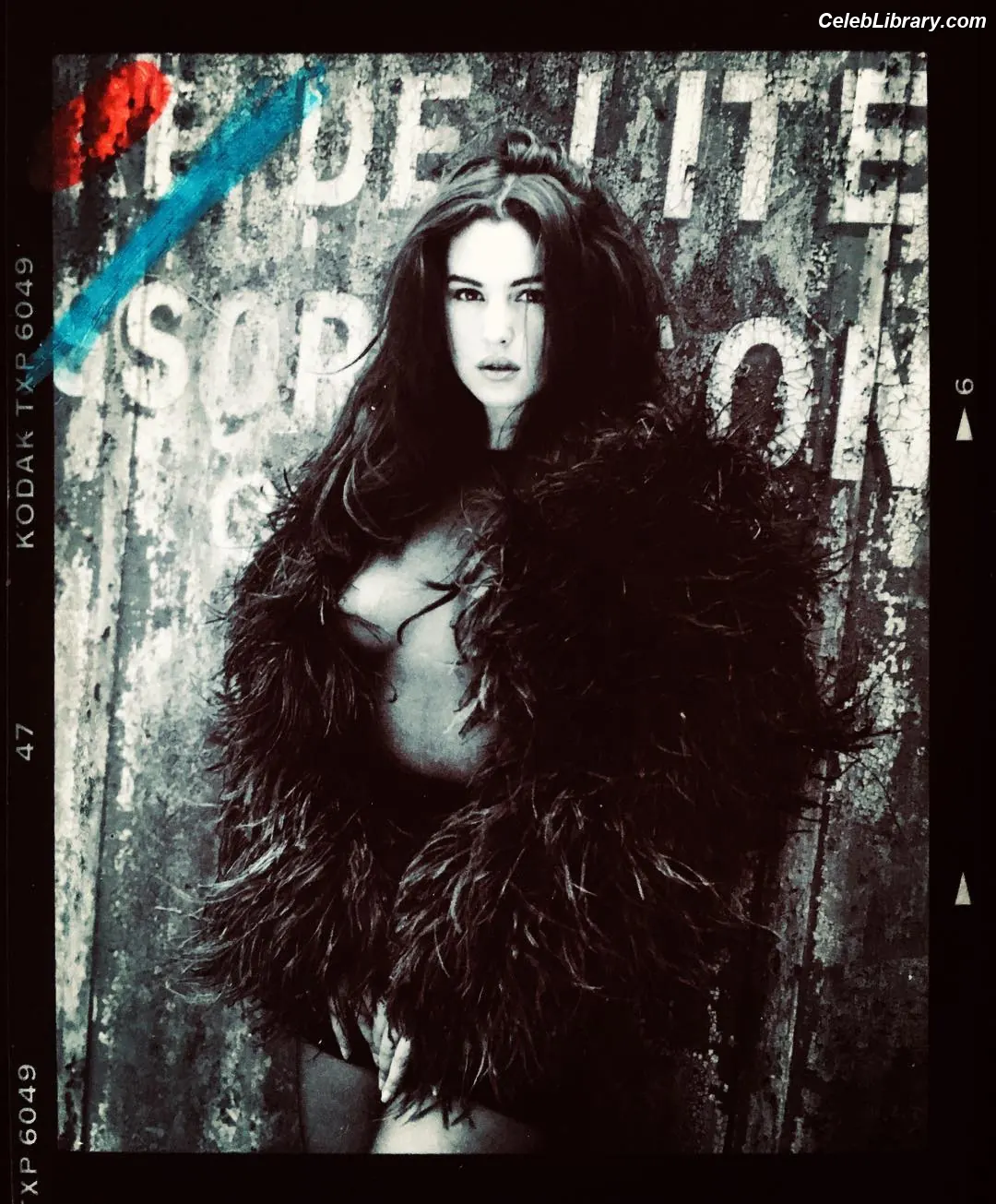 Monica Bellucci photo 7 of 1359