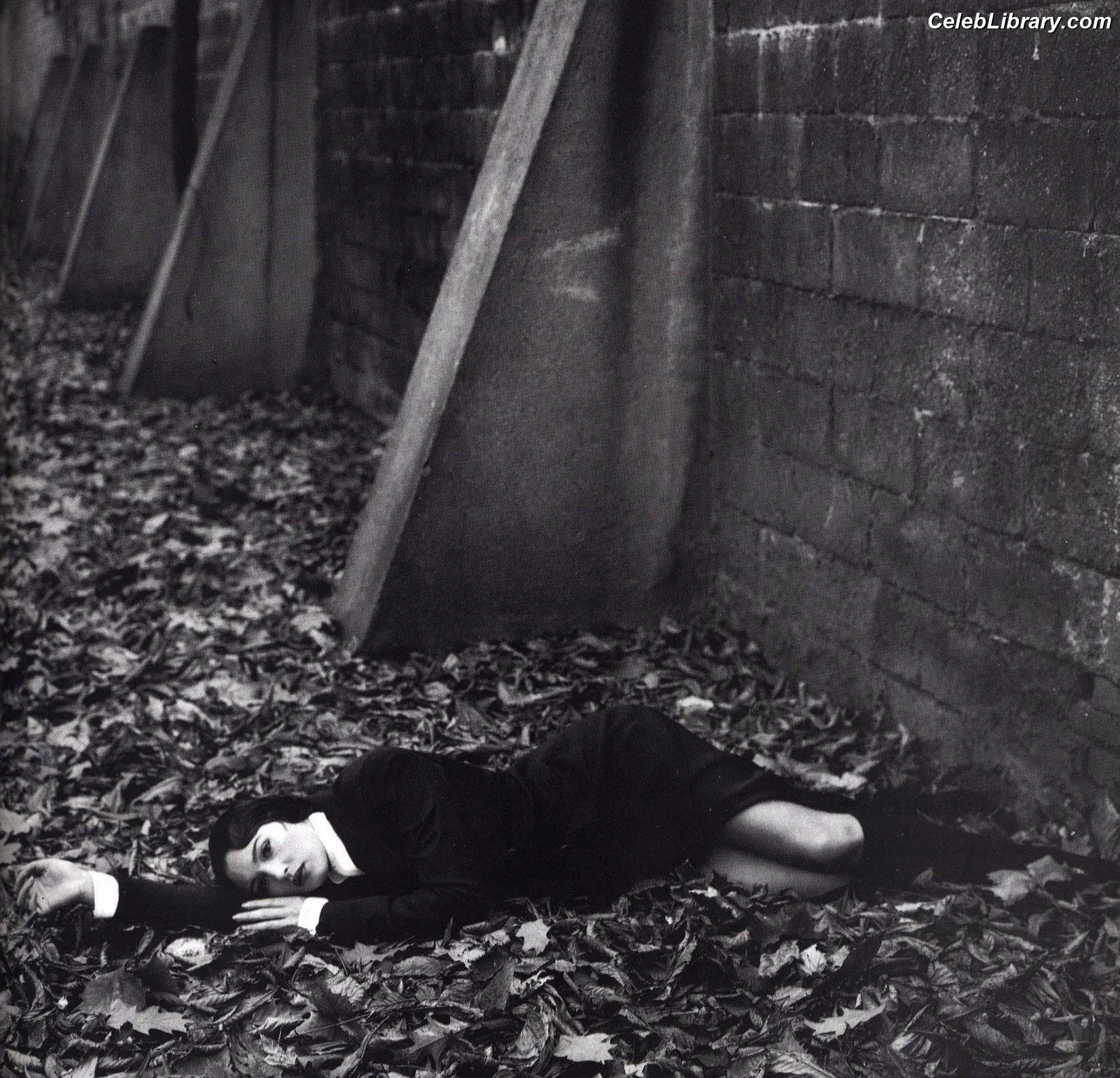 Monica Bellucci photo 3 of 1359