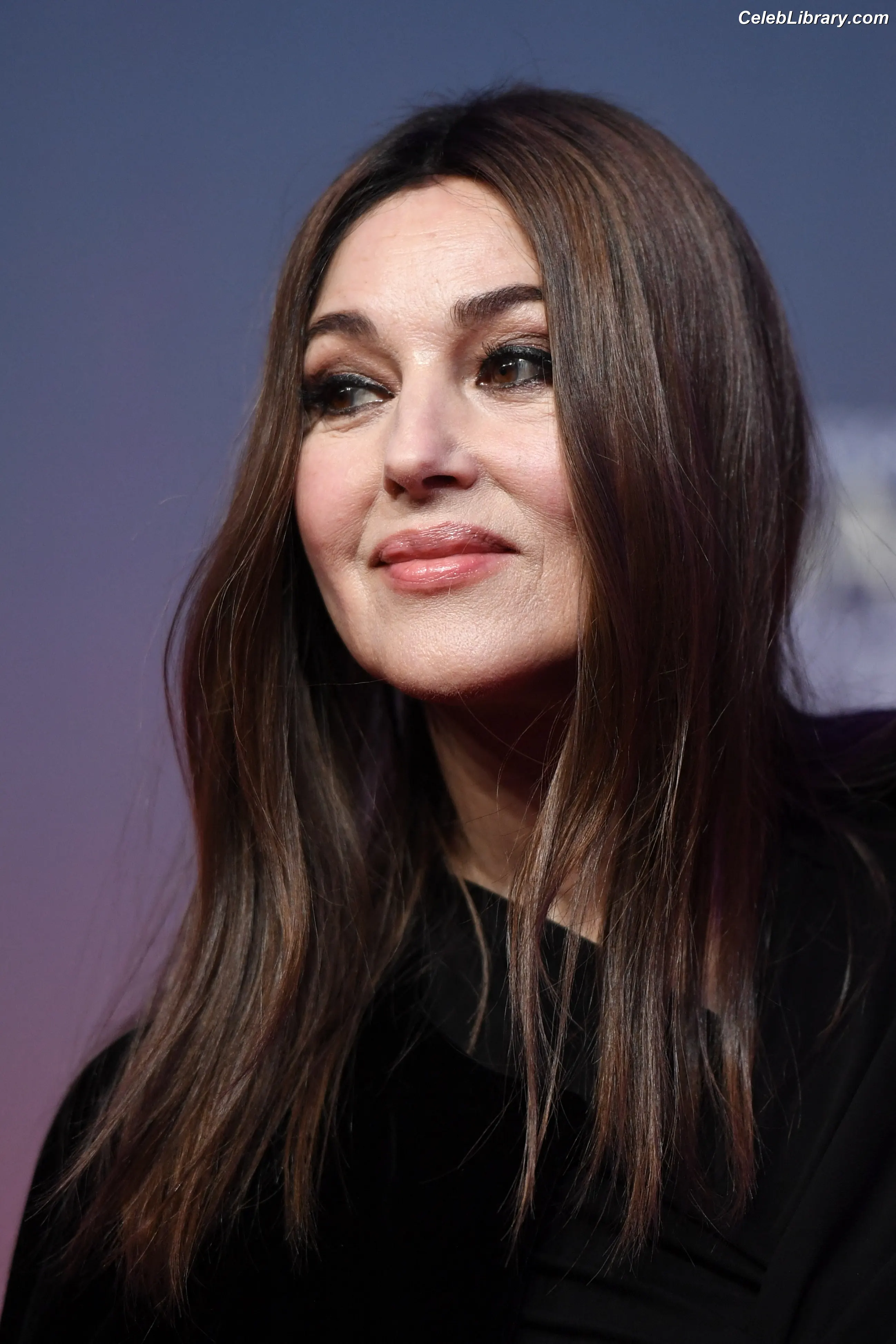 Monica Bellucci photo 8 of 1359
