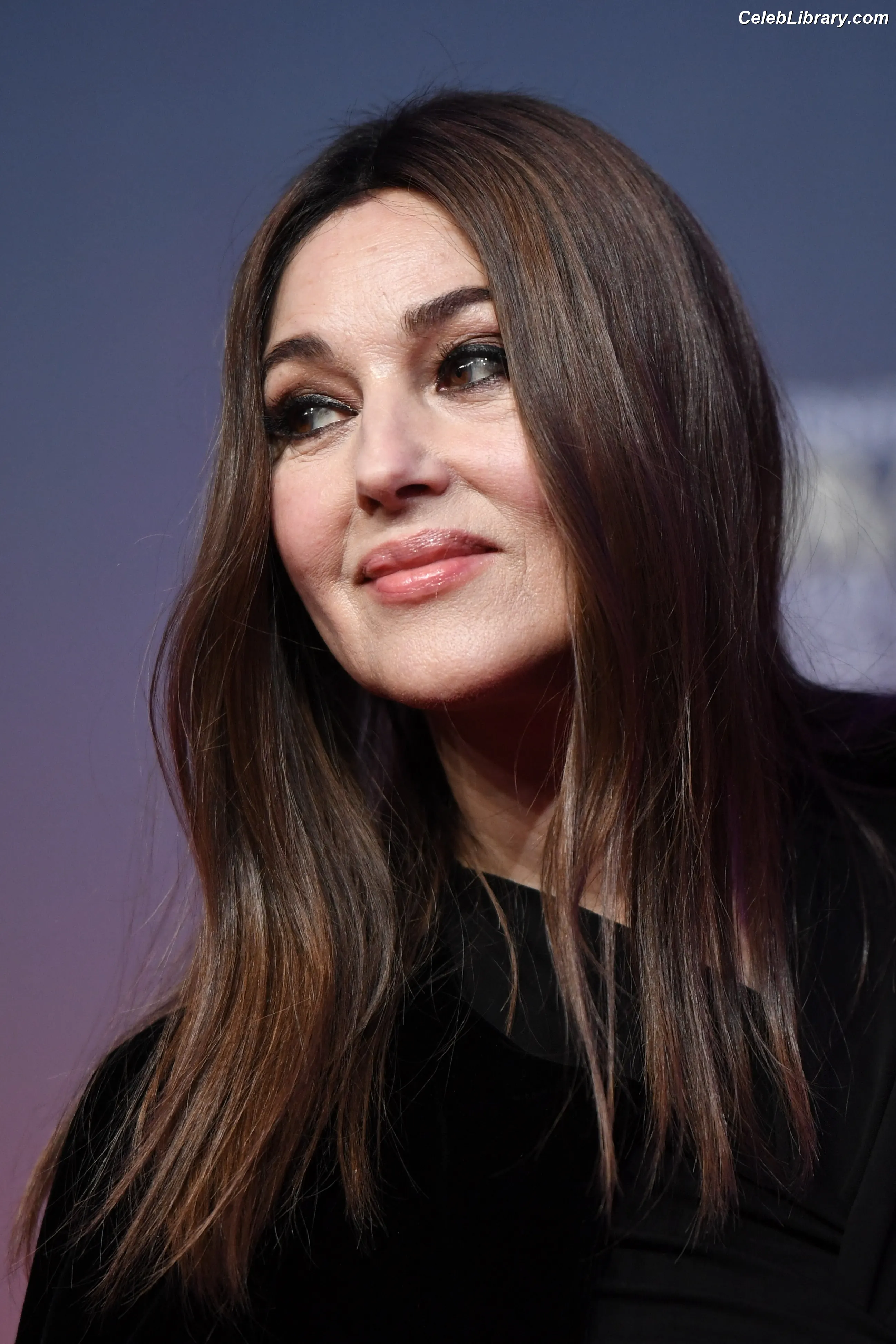 Monica Bellucci photo 9 of 1359