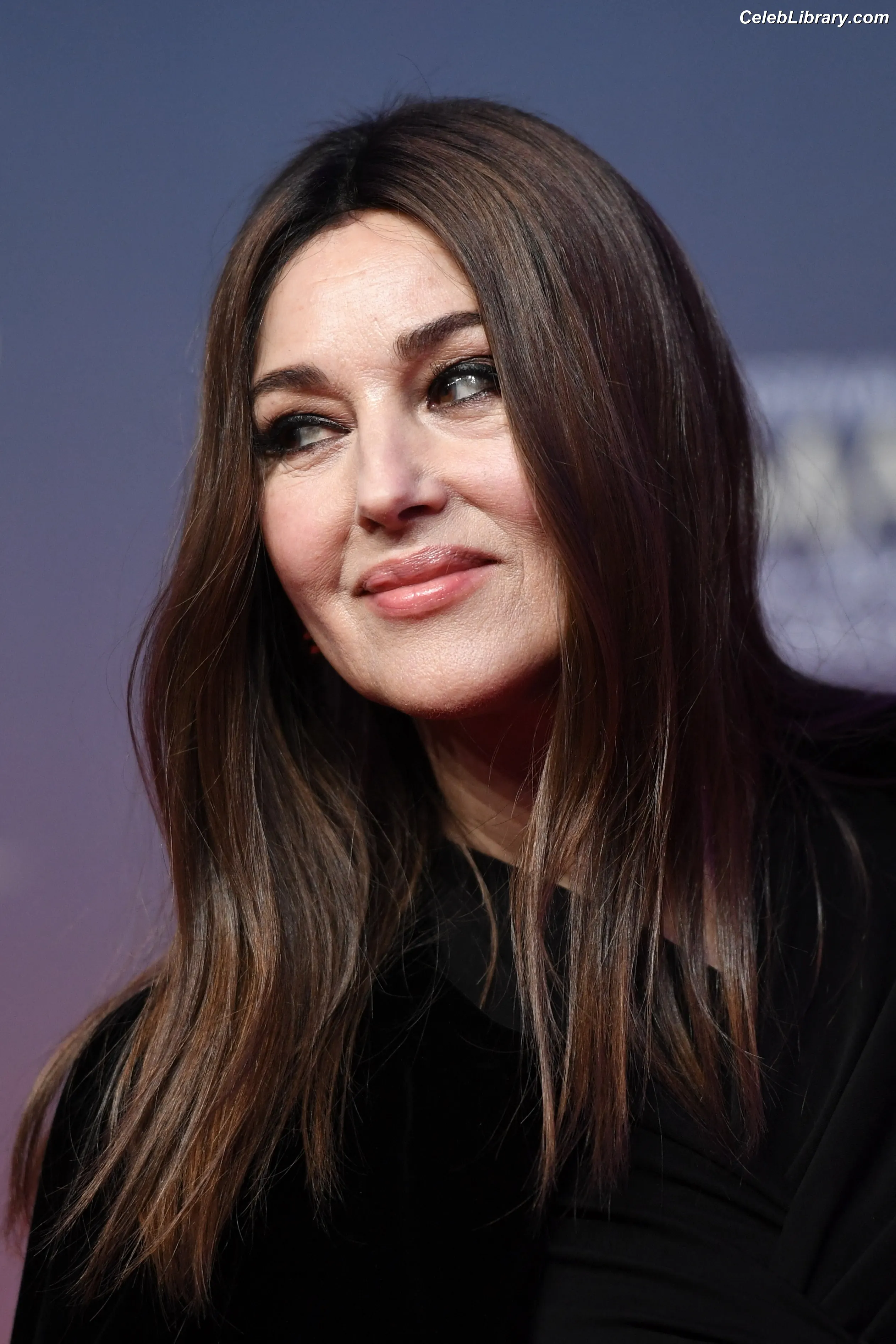 Monica Bellucci photo 10 of 1359