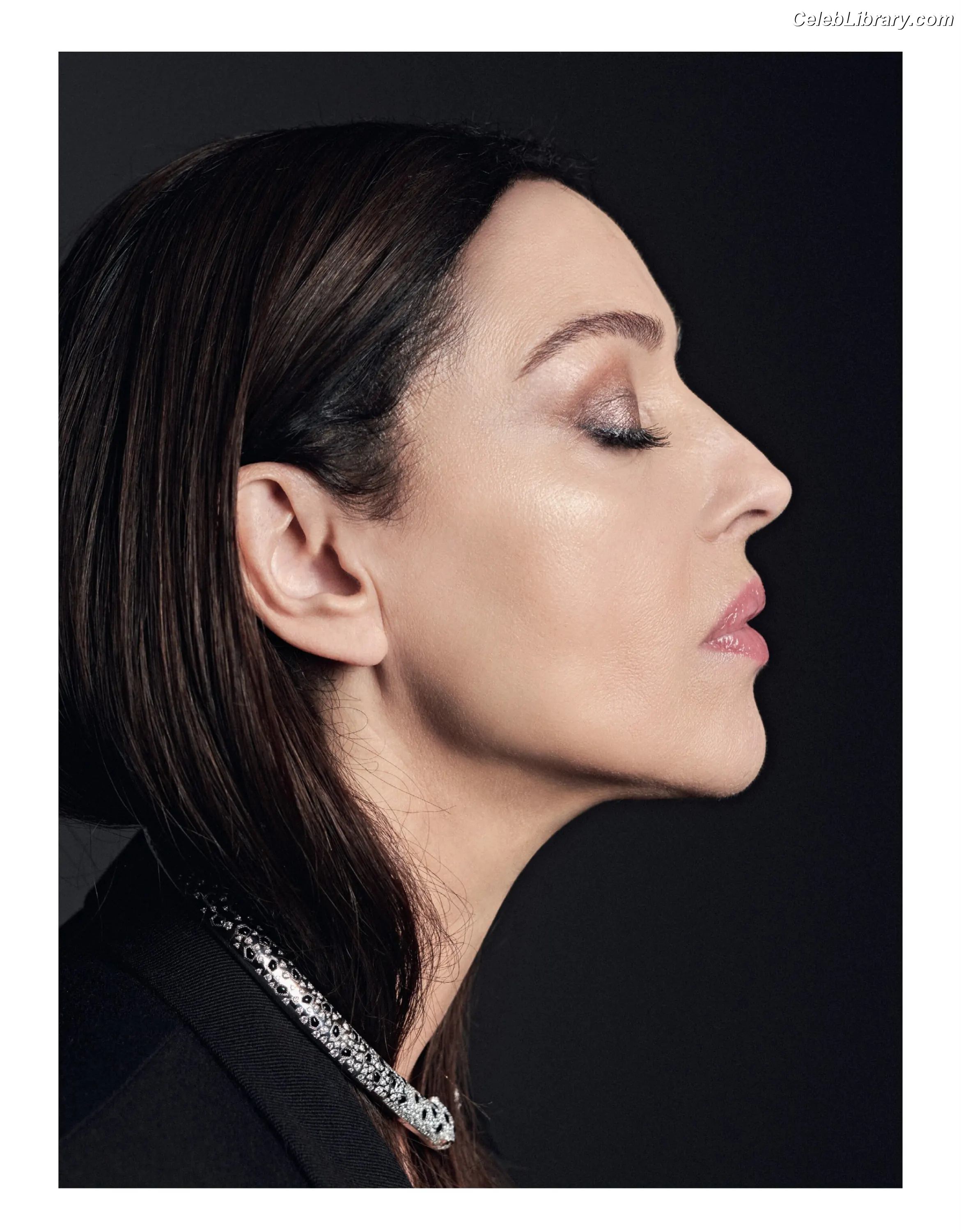 Monica Bellucci photo 8 of 1359