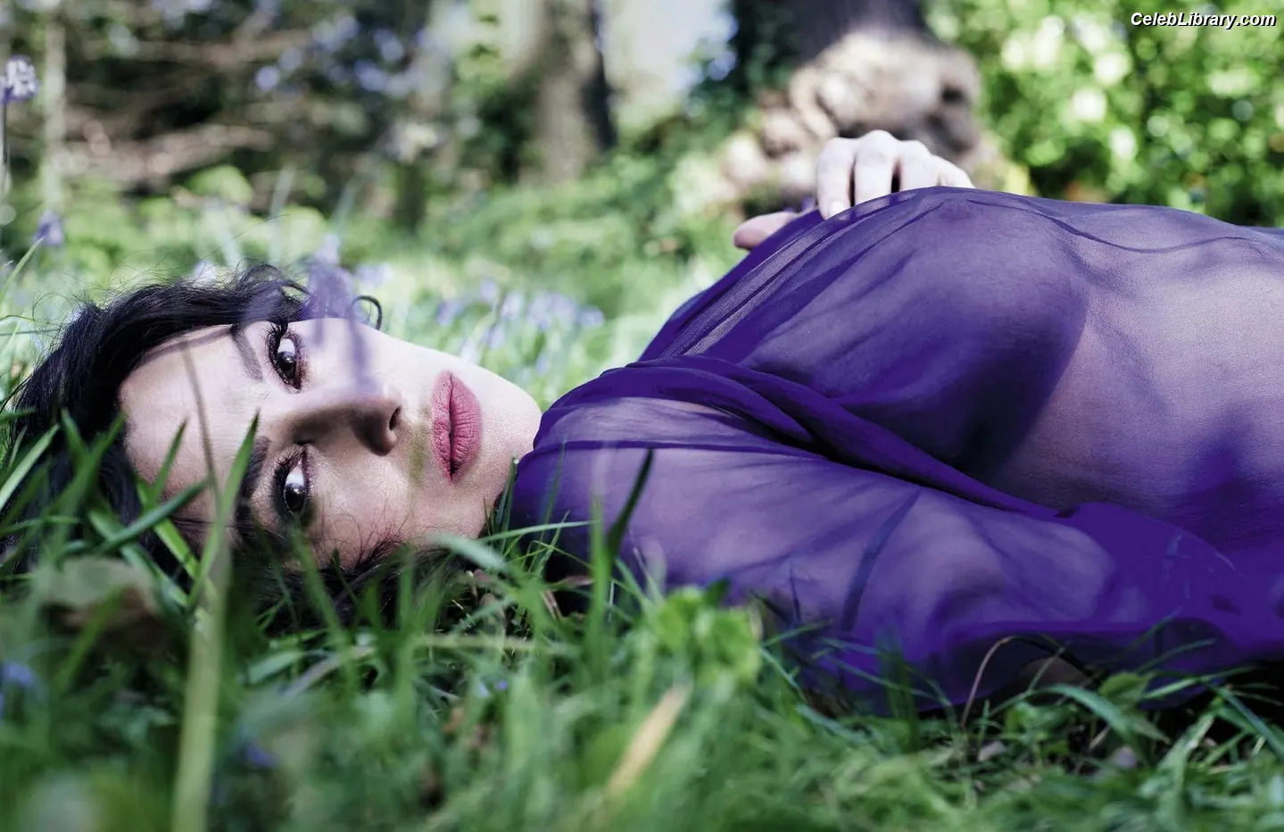 Monica Bellucci photo 18 of 1359