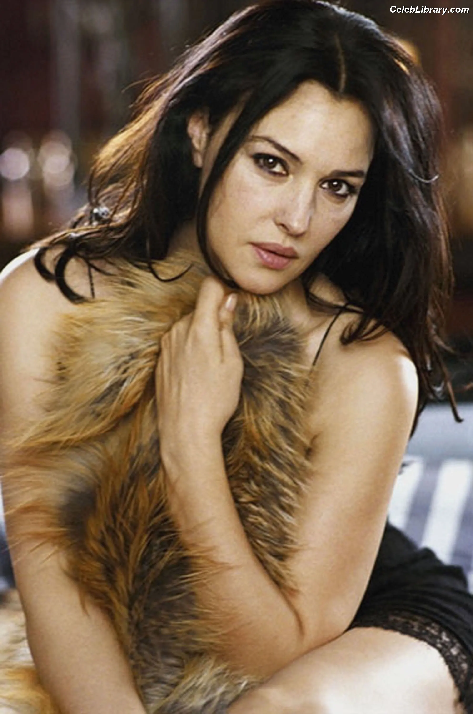 Monica Bellucci photo 15 of 1359