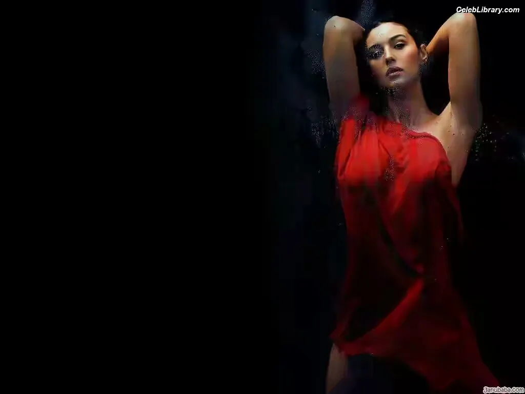 Monica Bellucci photo 2 of 1359