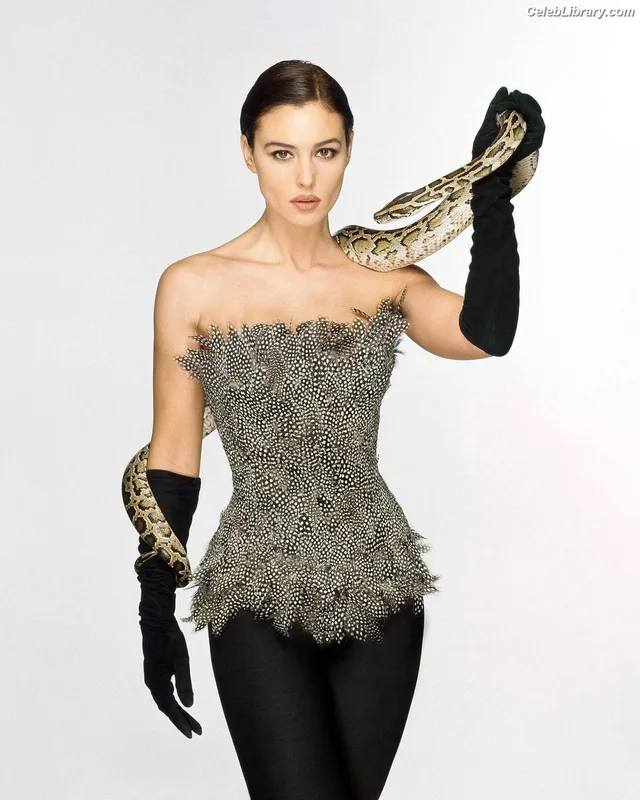 Monica Bellucci photo 1 of 1320