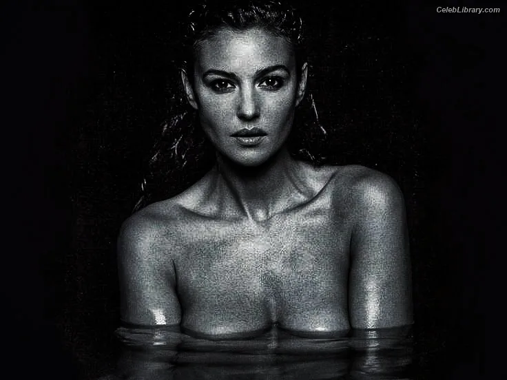 Monica Bellucci photo 4 of 1320