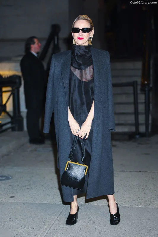 Naomi Watts photo 19 of 131