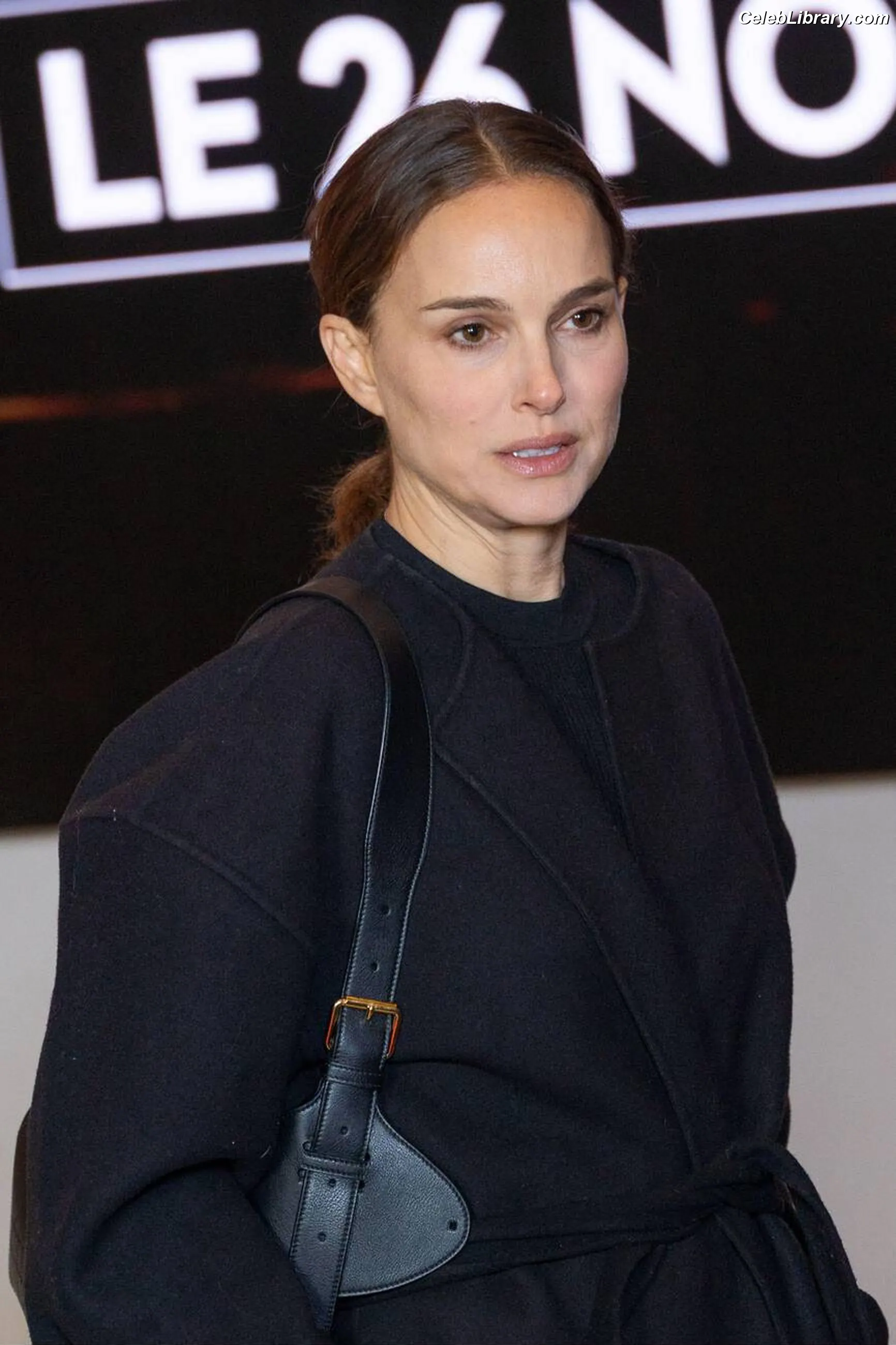 Natalie Portman photo 1 of 1531
