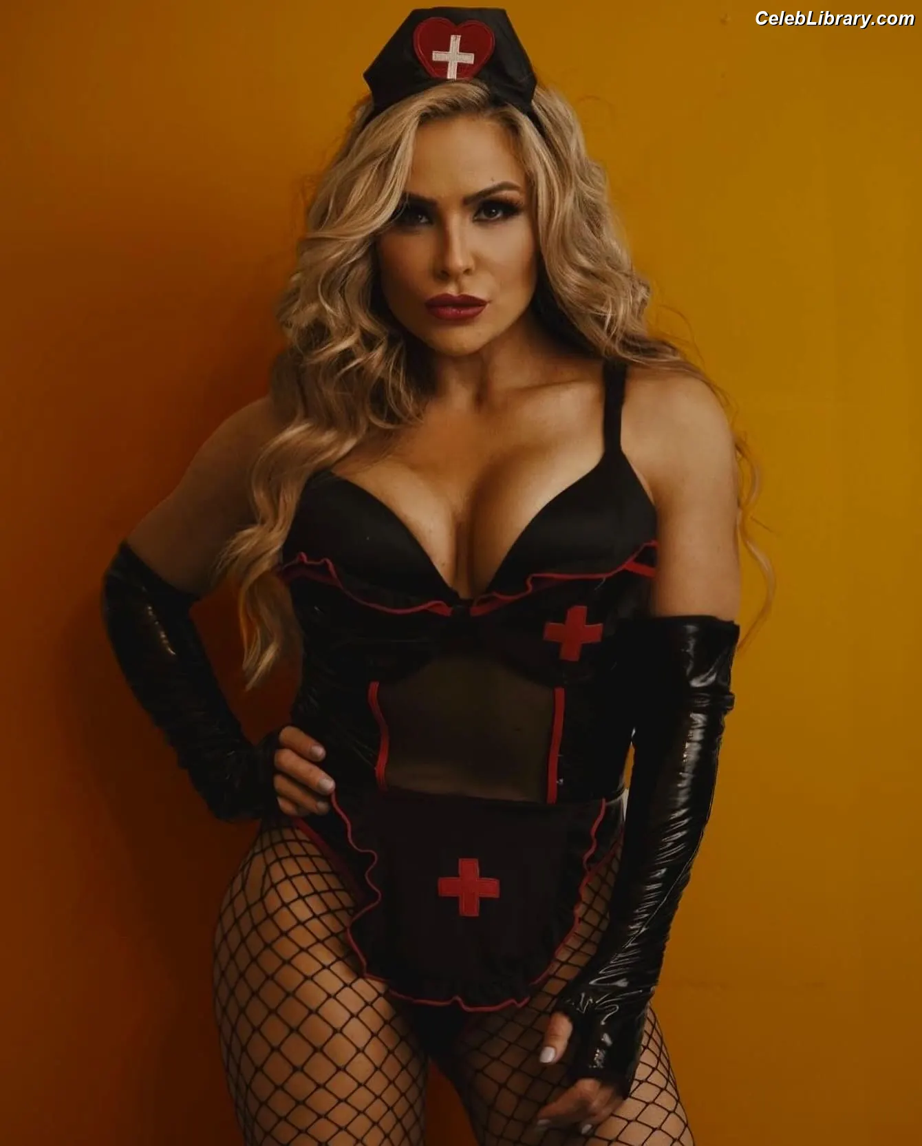 Natalya Neidhart photo 2 of 895