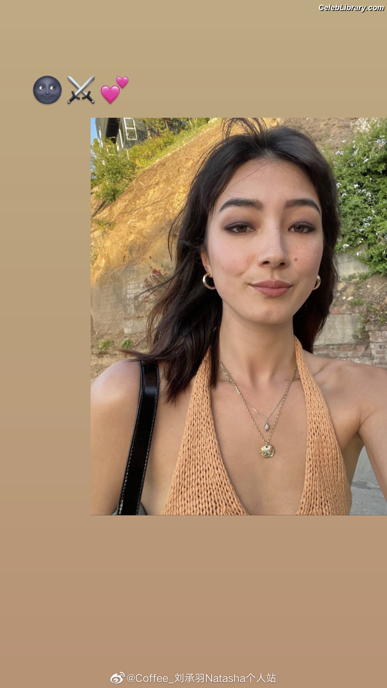 Natasha Liu Bordizzo
