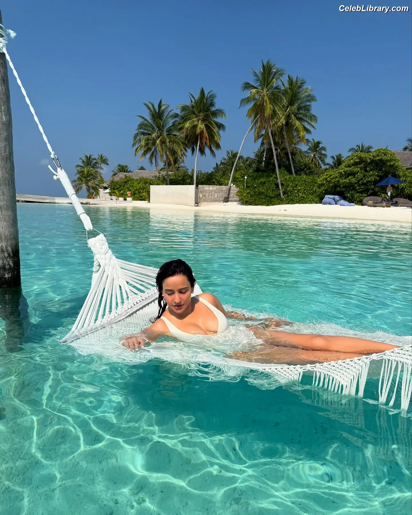 Neha Sharma photo 24 of 63