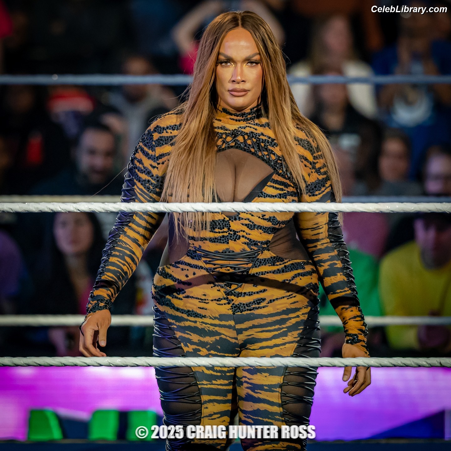 Nia Jax photo 18 of 522