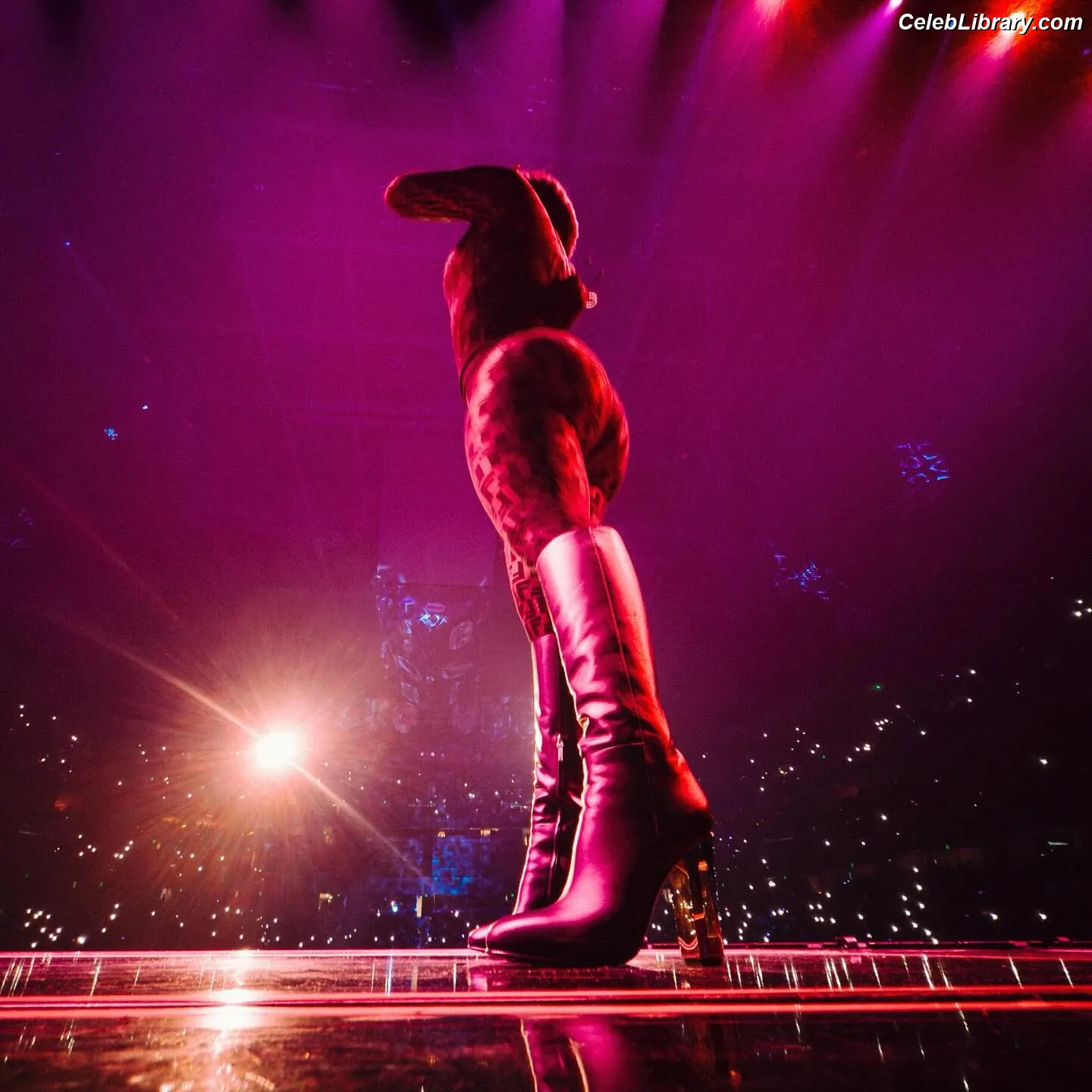 Nicki Minaj photo 21 of 1009