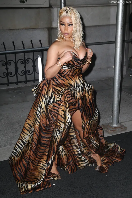 Nicki Minaj photo 6 of 983