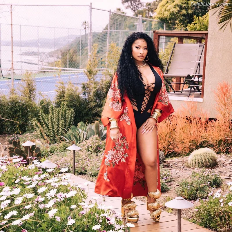 Nicki Minaj photo 4 of 983