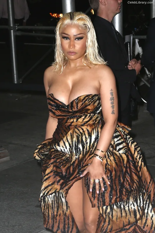 Nicki Minaj photo 20 of 983