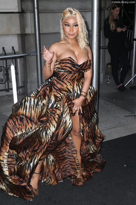 Nicki Minaj photo 13 of 983