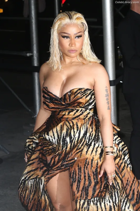 Nicki Minaj photo 16 of 983