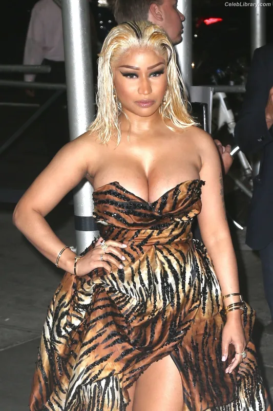Nicki Minaj photo 23 of 983