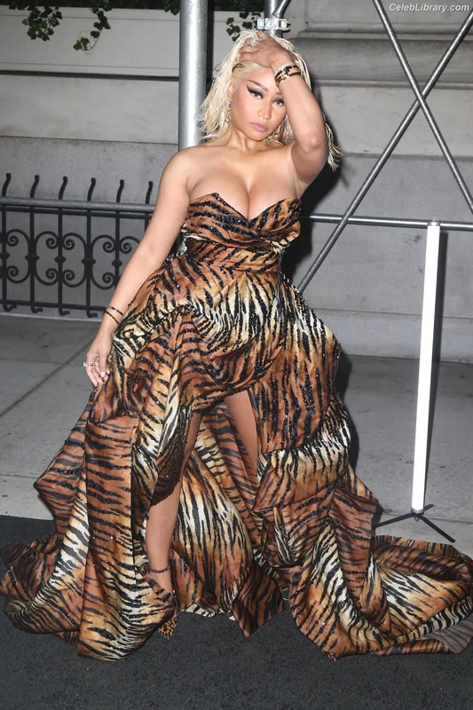 Nicki Minaj photo 1 of 983