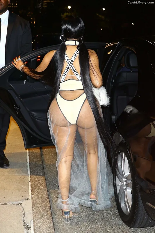Nicki Minaj photo 21 of 983